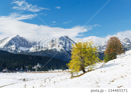 Landscape with snowy mountain peaks in Montenegro and autumn trees Landscape with snowy mountain peaks in Montenegro and autumn trees 134465571