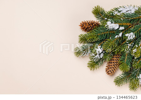 Snowy fir branches with cones on beige background Snowy fir branches with cones on beige background 134465623
