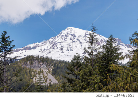 Majestic Mount Rainier rising above forests and river in the national park 134465653