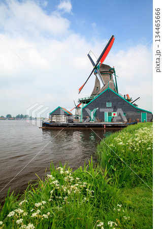 Windmills near Dutch village 134465666