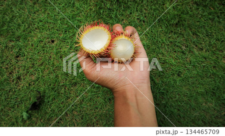 Sweet rambutan half-open in hand, organic tropical fruit  134465709