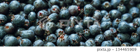 Close-up of fresh juicy blueberries showcasing natural texture and vibrant 134465909