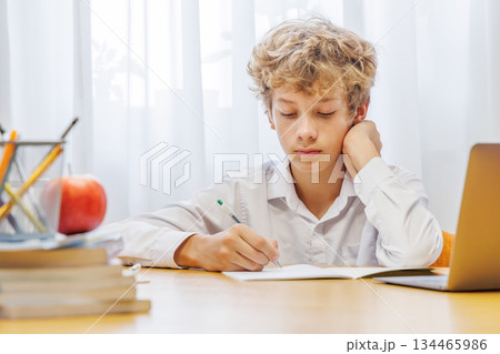 Schoolboy sitting at home, with focus and concentration while doing homework Schoolboy sitting at home, with focus and concentration while doing homework 134465986