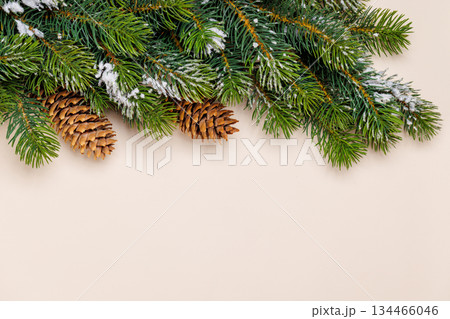Snowy fir branches with cones on beige background 134466046