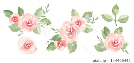 Watercolor roses set. Bouquets, flowers and leaves. For Valentine and wedding design. Ideal for romantic card, love invitation, beauty branding, social media and elegant decor. 134466443