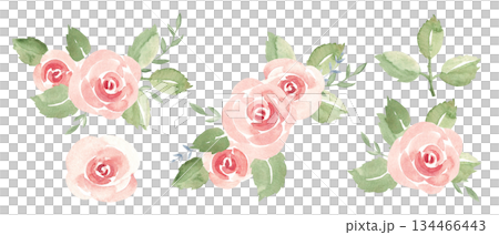 Watercolor roses set. Bouquets, flowers and leaves. For Valentine and wedding design. Ideal for romantic card, love invitation, beauty branding, social media and elegant decor. 134466443