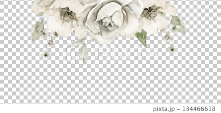 Hand drawn floral illustration of a decorative top border frame with off white peonies, green leaves and small buds. Ideal for invitation card, greeting design, packaging or branding header element. 134466618