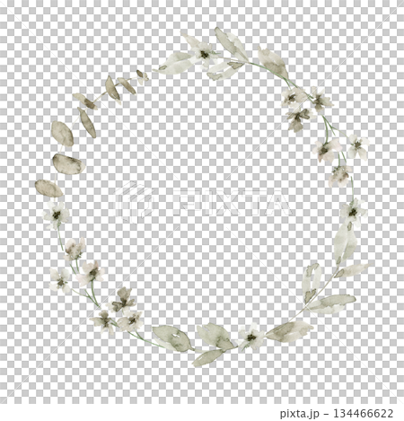 Minimalistic hand drawn wreath illustration with off white small flowers, light green leaves and buds and eucalyptus leaves. Ideal for invitation suite, stationary, gift box label, or branding. 134466622