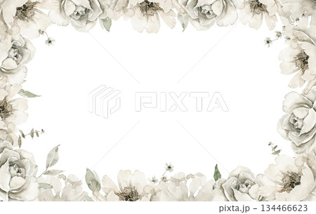 Horizontal watercolor floral frame with off white peonies, buds and green leaves. Useful for wedding invitation, menu or wedding template, packaging, funeral card design, greeting card branding. 134466623