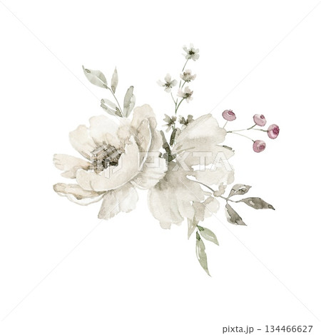 Loose watercolor style floral illustration featuring two off white flowers, green foliage, and small pink berries. Great choice for wedding suite, greeting card design, label, or stationery decor. 134466627