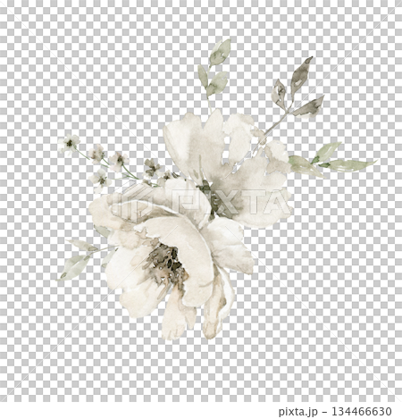 Single off white watercolor style flower with loose green leaves and tiny blush pink buds, in gentle artistic composition. Used for small greeting card, logo, product sticker or invitation graphics. 134466630