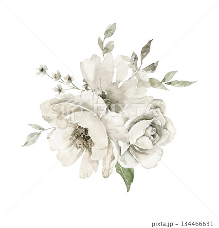 Loose watercolor illustration of double off white blooms with green leaves and woody accents. Designed for wedding invitation, packaging label, website graphic, or spring themed greeting card. 134466631