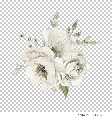 Loose watercolor illustration of double off white blooms with green leaves and woody accents. Designed for wedding invitation, packaging label, website graphic, or spring themed greeting card. 134466632