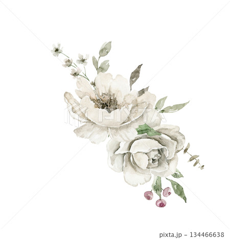 Loose watercolor floral illustration with two off white anemone flowers, green leaves, and delicate stems in a wide horizontal cluster. Suited for invitation, branding, card, or packaging header. Loose watercolor floral illustration with two off white anemone flowers, green leaves, and delicate stems in a wide horizontal cluster. Suited for invitation, branding, card, or packaging header. 134466638