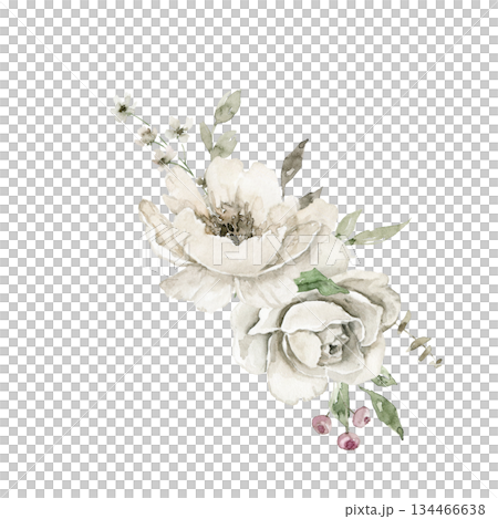 Loose watercolor floral illustration with two off white anemone flowers, green leaves, and delicate stems in a wide horizontal cluster. Suited for invitation, branding, card, or packaging header. Loose watercolor floral illustration with two off white anemone flowers, green leaves, and delicate stems in a wide horizontal cluster. Suited for invitation, branding, card, or packaging header. 134466638