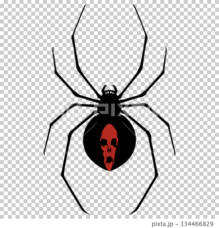セアカゴケグモ 134466829