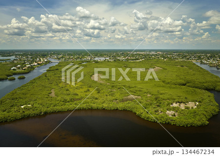 Aerial view of rural private houses in remote suburbs located near Florida wildlife wetlands with green vegetation on sea bay shore. Living close to nature concept Aerial view of rural private houses in remote suburbs located near Florida wildlife wetlands with green vegetation on sea bay shore. Living close to nature concept 134467234