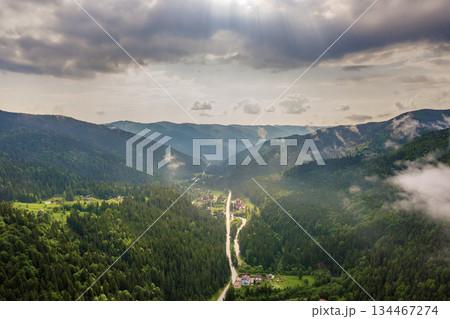 Aerial view of green Carpathian mountains covered with evergreen spruce pine foreston summer sunny day. 134467274