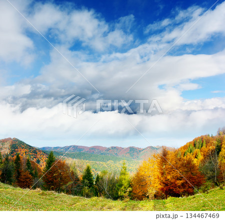 mountain landscape 134467469