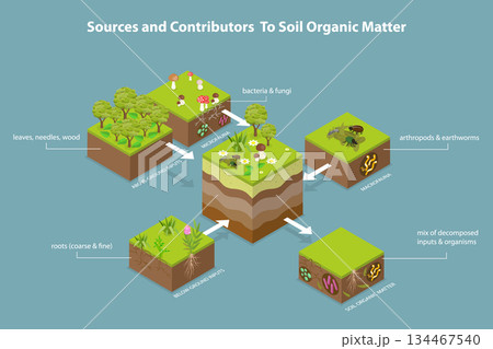 3D Isometric Flat Vector Illustration of Soil Composition, Exploring Soil Organic Matter Sources 134467540
