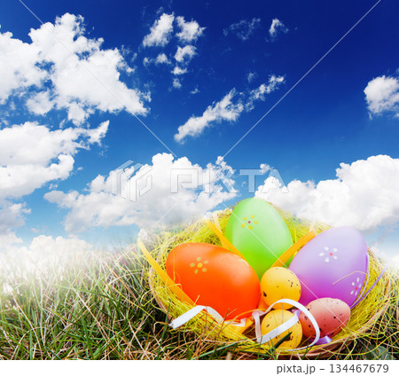 Easter 134467679