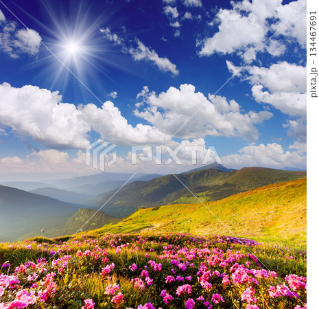 mountain landscape mountain landscape 134467691