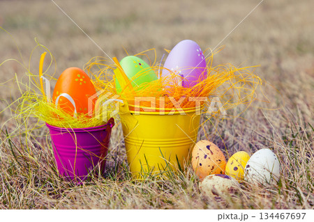 Easter 134467697