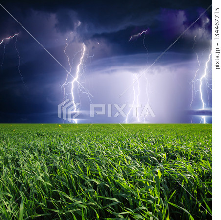 storm 134467715