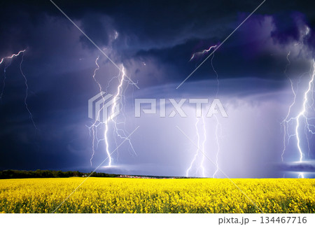 storm 134467716