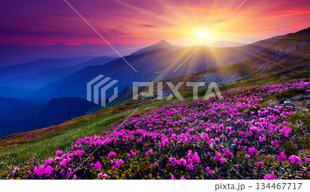 mountain landscape 134467717