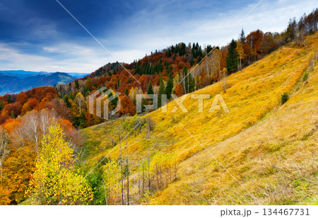 mountain landscape 134467731