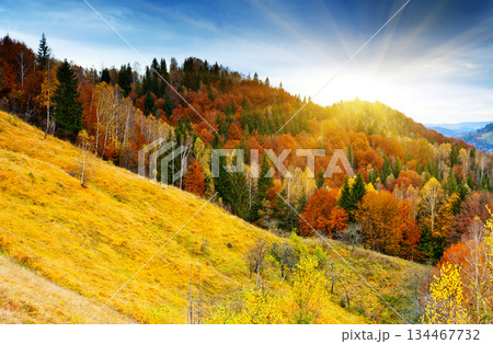mountain landscape mountain landscape 134467732
