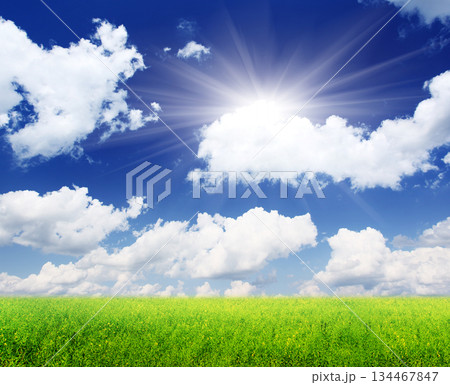 field 134467847