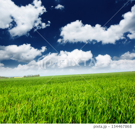 field 134467868