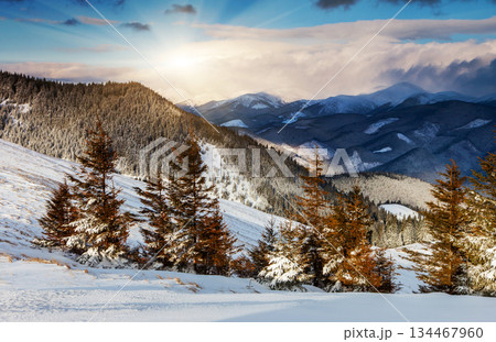winter winter 134467960