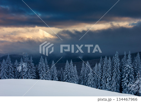 winter winter 134467966