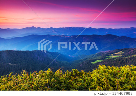 sunset 134467995