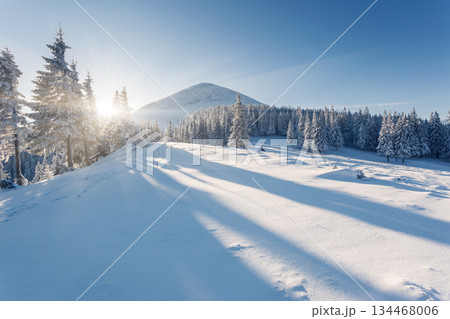 winter 134468006