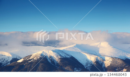 winter winter 134468043