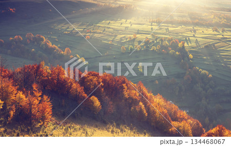 autumn autumn 134468067