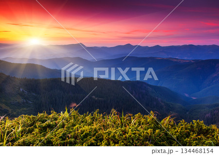 sunset 134468154