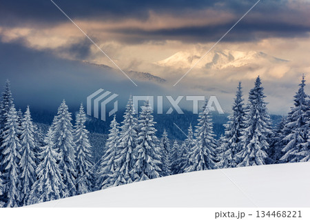winter 134468221