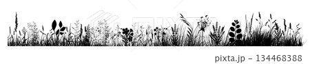 Silhouette of grass horizon. Border, meadow...のイラスト素材 [134468388] - PIXTA
