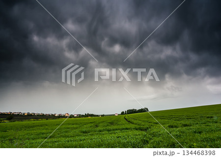 field 134468398