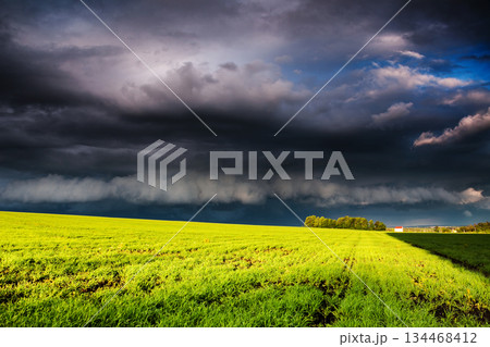 field field 134468412