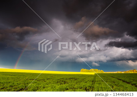 field 134468413