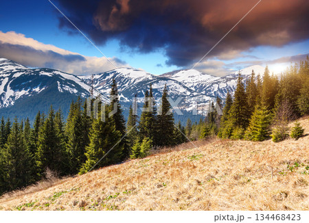 mountain 134468423