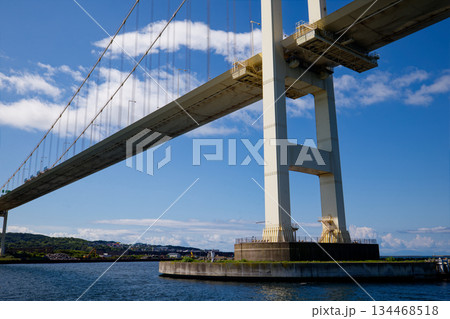 白鳥大橋 134468518