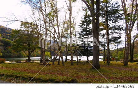 日光国立公園「丸沼」 日光国立公園「丸沼」 134468569
