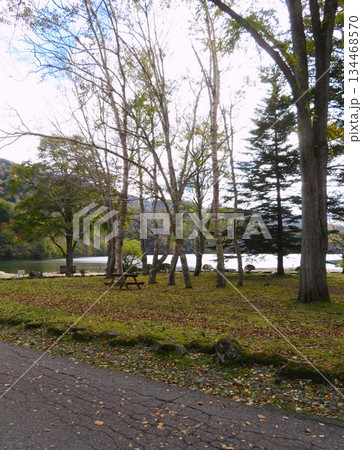 日光国立公園「丸沼」 日光国立公園「丸沼」 134468570